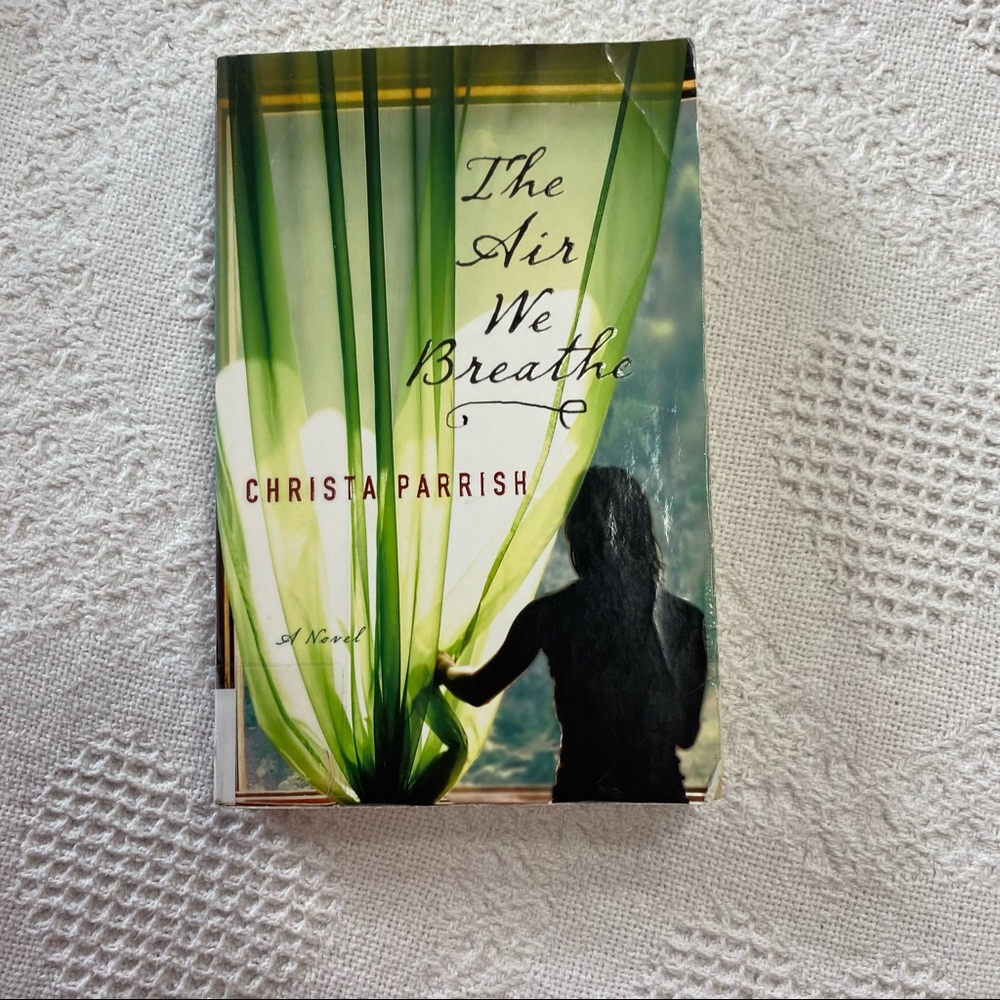 The Air We Breathe by Christa Parrish